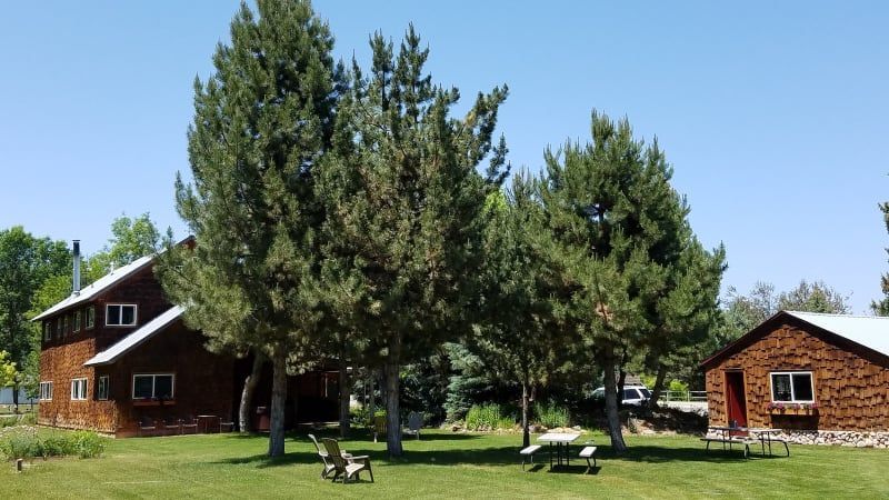 A house with a lot of trees in front of it