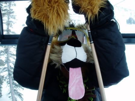A person wearing a dog costume with a pink tongue