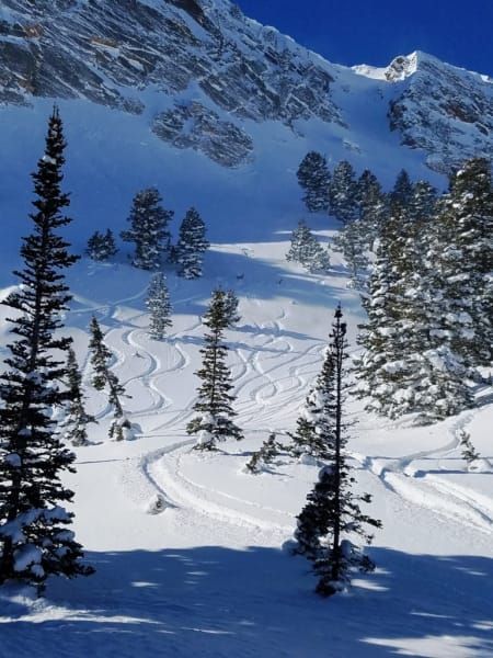 A snowy landscape with trees and mountains in the background