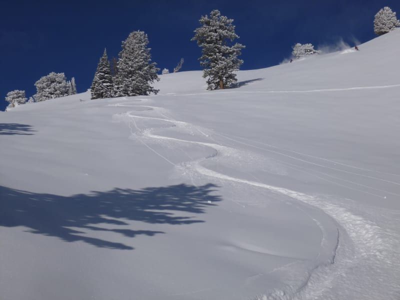 A snowy slope with trees on the side of it