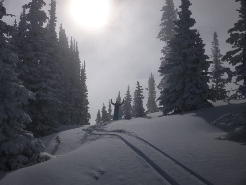 A person skiing down a snow covered slope with the sun shining through the trees