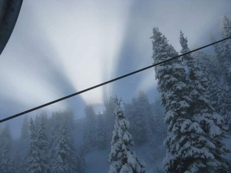 A snowy forest with a ski lift in the foreground