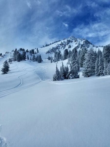 A snowy landscape with trees and a mountain in the background