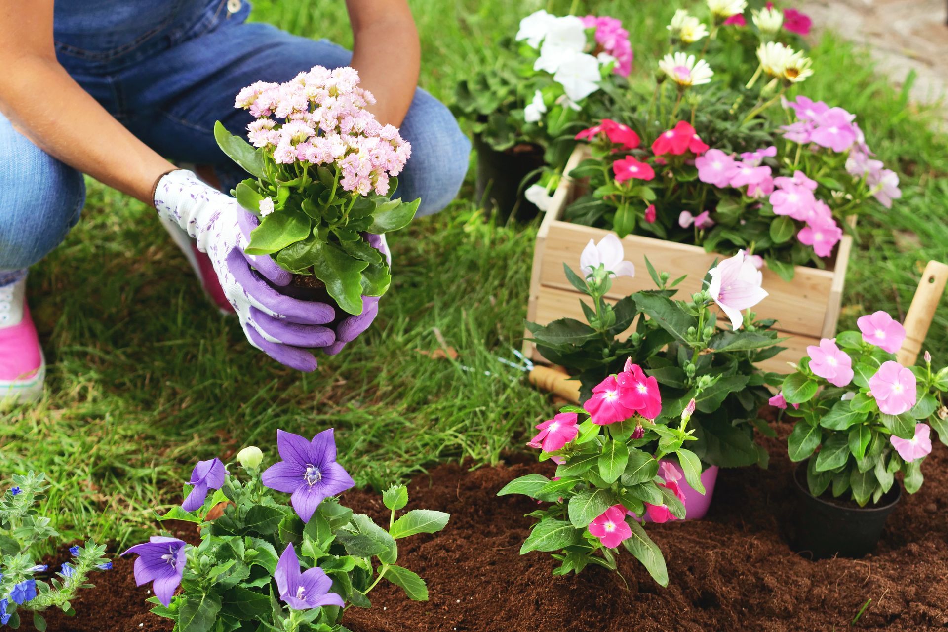 Gardening in Oklahoma City, OK Gardening in Oklahoma City, OK
