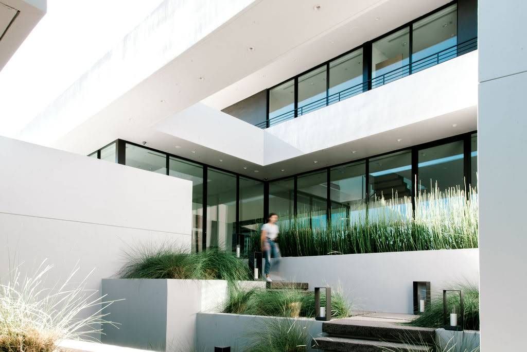 Modern building interior with steps, greenery, and a person walking down.