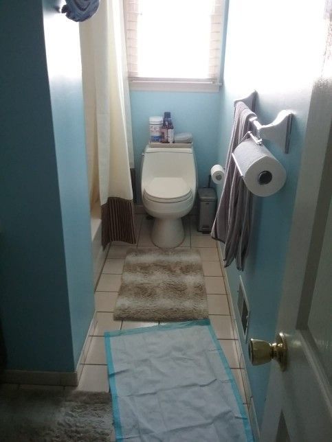 A bathroom with a toilet and a rug on the floor