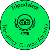 Tripadvisor Travelers Choice Award Badge Icon