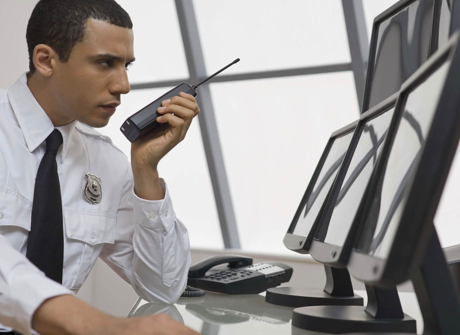 RESGUARDO ALPHA SA DE CV  