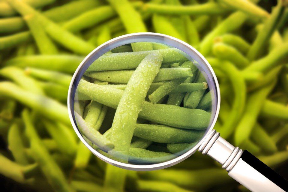 analisi dei parassiti