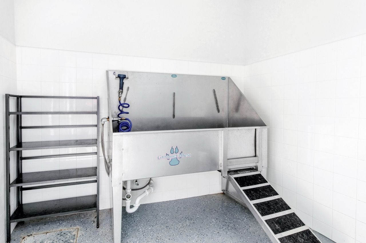 Industrial stainless steel dog grooming tub with a ramp in a tiled room.