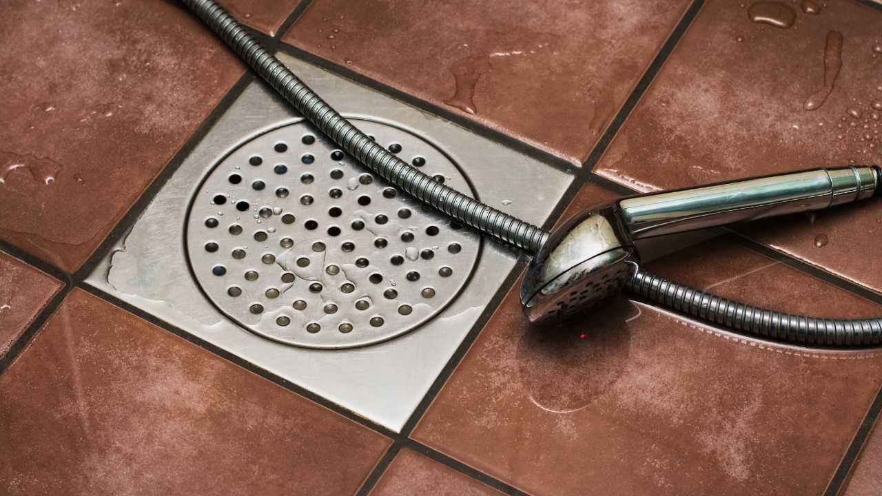 shower drain tips