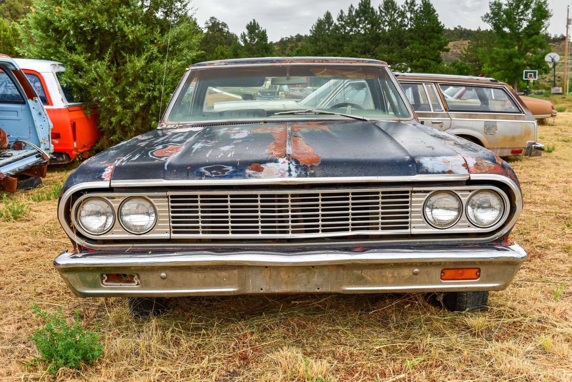 Rusty blue classic car in a junkyard, front view.  Brown rust, silver grill, surrounded by other abandoned vehicles.