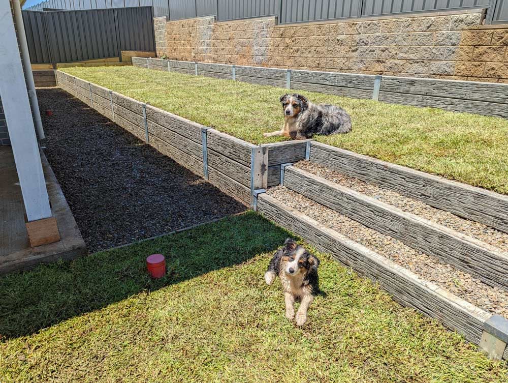 Two Dogs And Concrete Sleepers — Landscaper in Arrawarra Headland, NSW