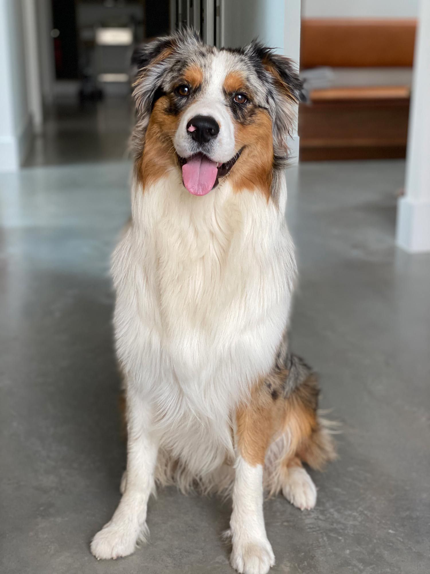 Huey as Site Foreman — Landscaper in Arrawarra Headland, NSW