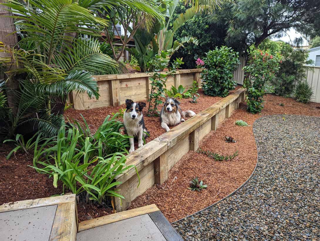 View Landscape And Two Dogs — Landscaper in Arrawarra Headland, NSW