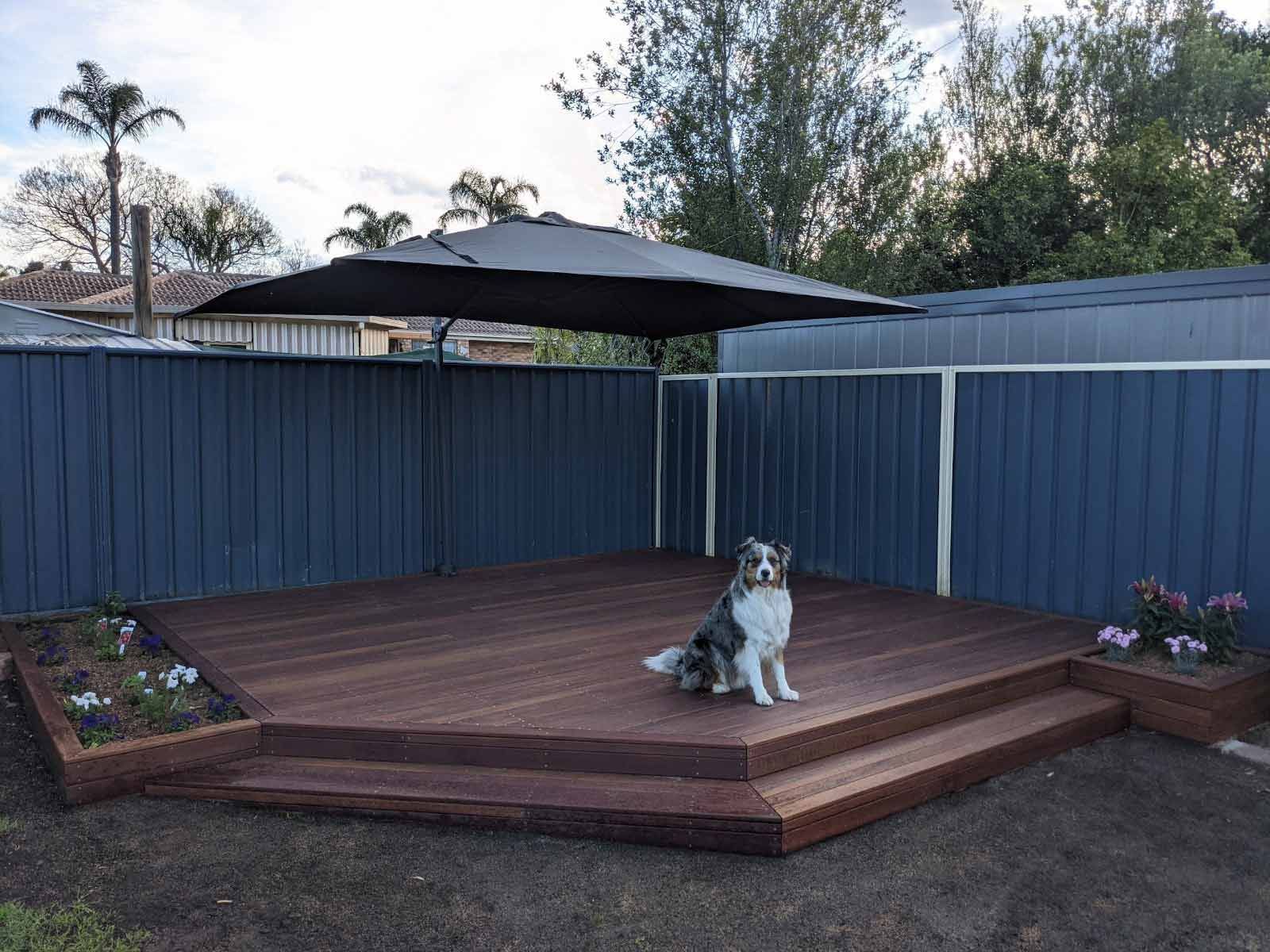 Timber Deck And Dog — Landscaper in Arrawarra Headland, NSW