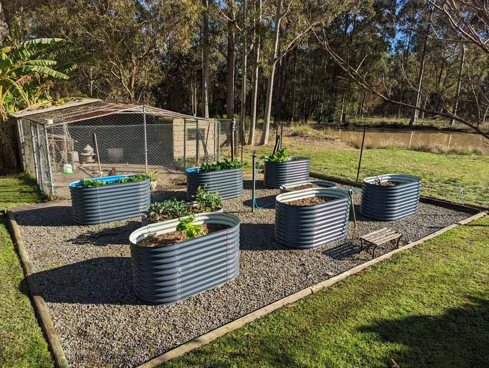 Veggie Patch — Landscaper in Arrawarra Headland, NSW