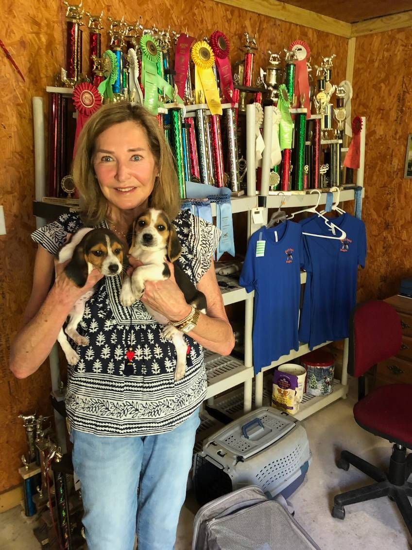 A woman is holding two puppies in front of trophies.
