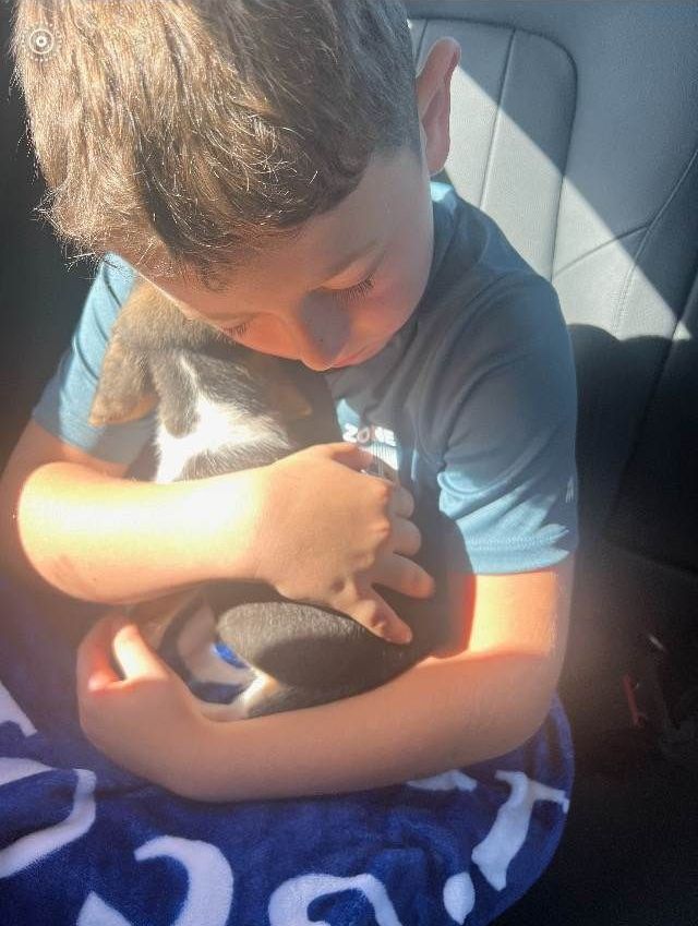 A young boy is sitting in the back seat of a car holding a puppy.