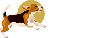 A brown and white dog is jumping in the air.