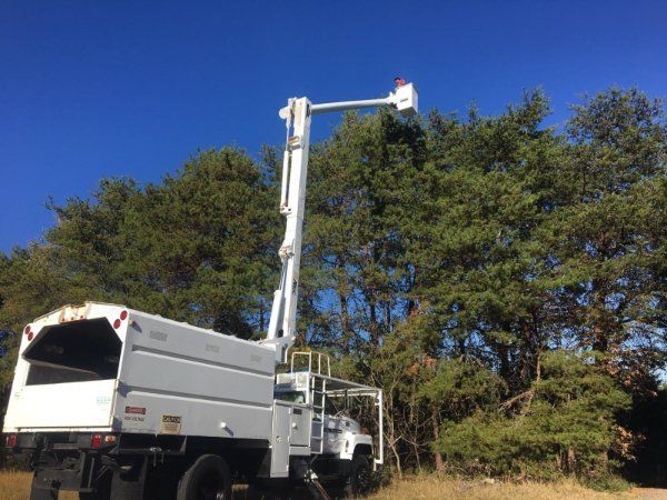 Forestry Bucket Truck