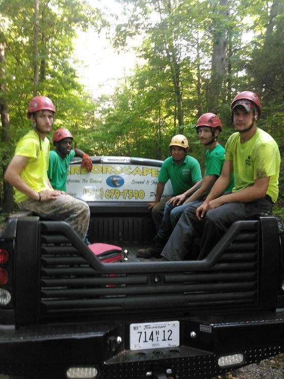 Tree Service Crew