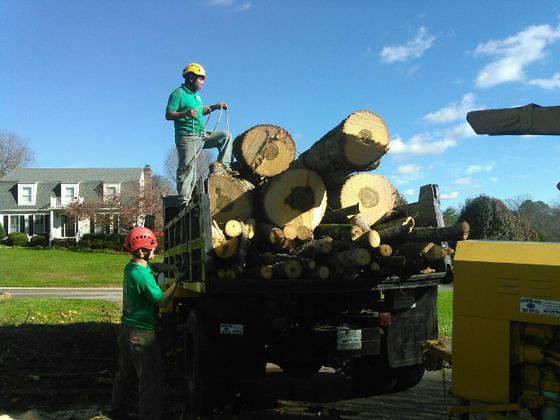 Loading Logs onto a Truck