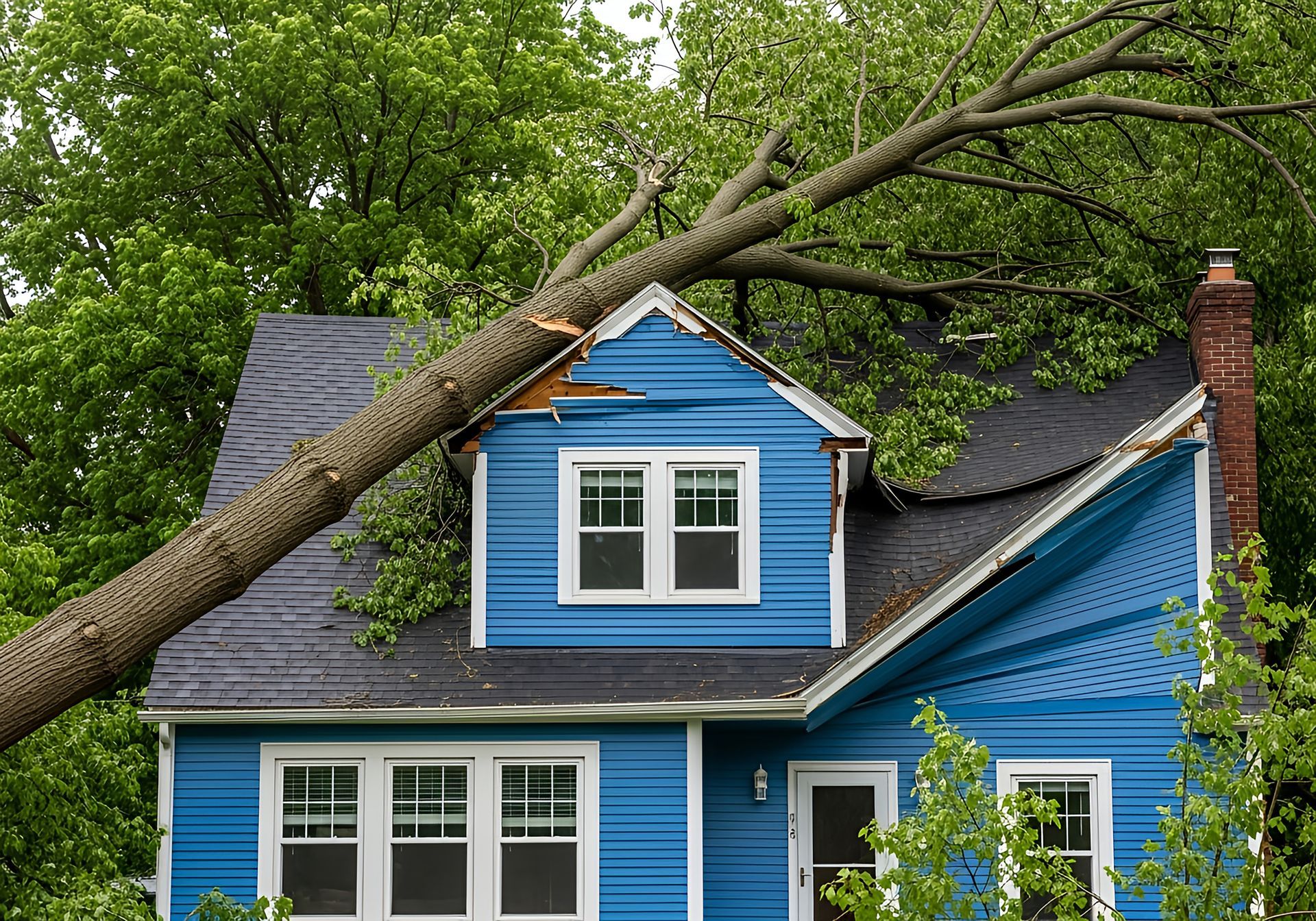 Storm damage to a blue house, background of a fallen tree on the roof.