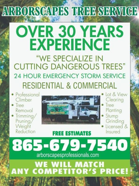 ARBORSCAPES TREE SERVICE