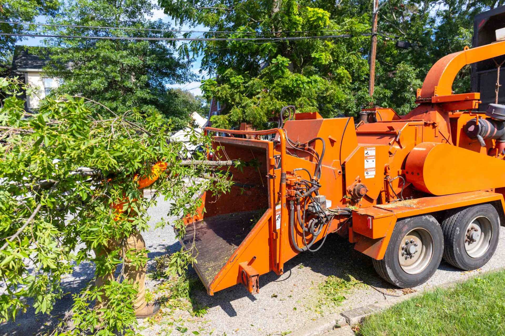 A Truck Removing A Tree — Maryville, TN — Arborscapes Tree Service