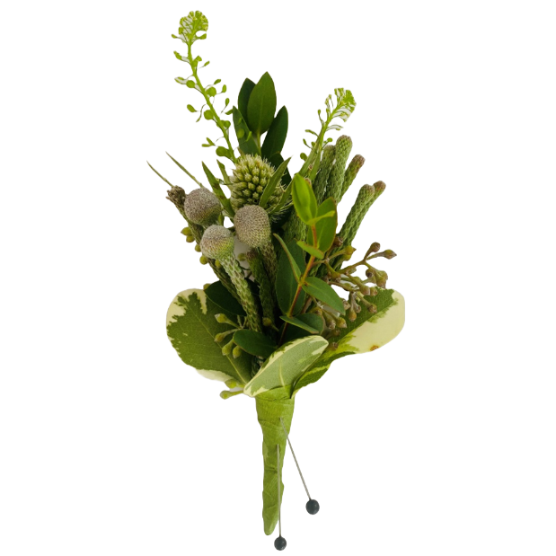 A boutonniere of greenery and leaves on a white background