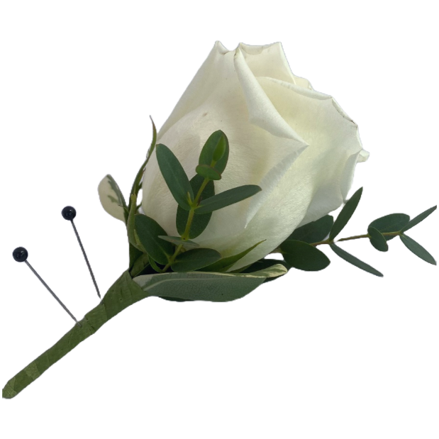 A white rose boutonniere with green leaves
