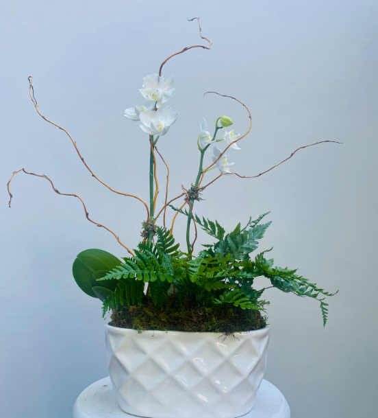 White floral arrangement in a diamond-patterned pot, featuring white orchids, green ferns, and brown branches.