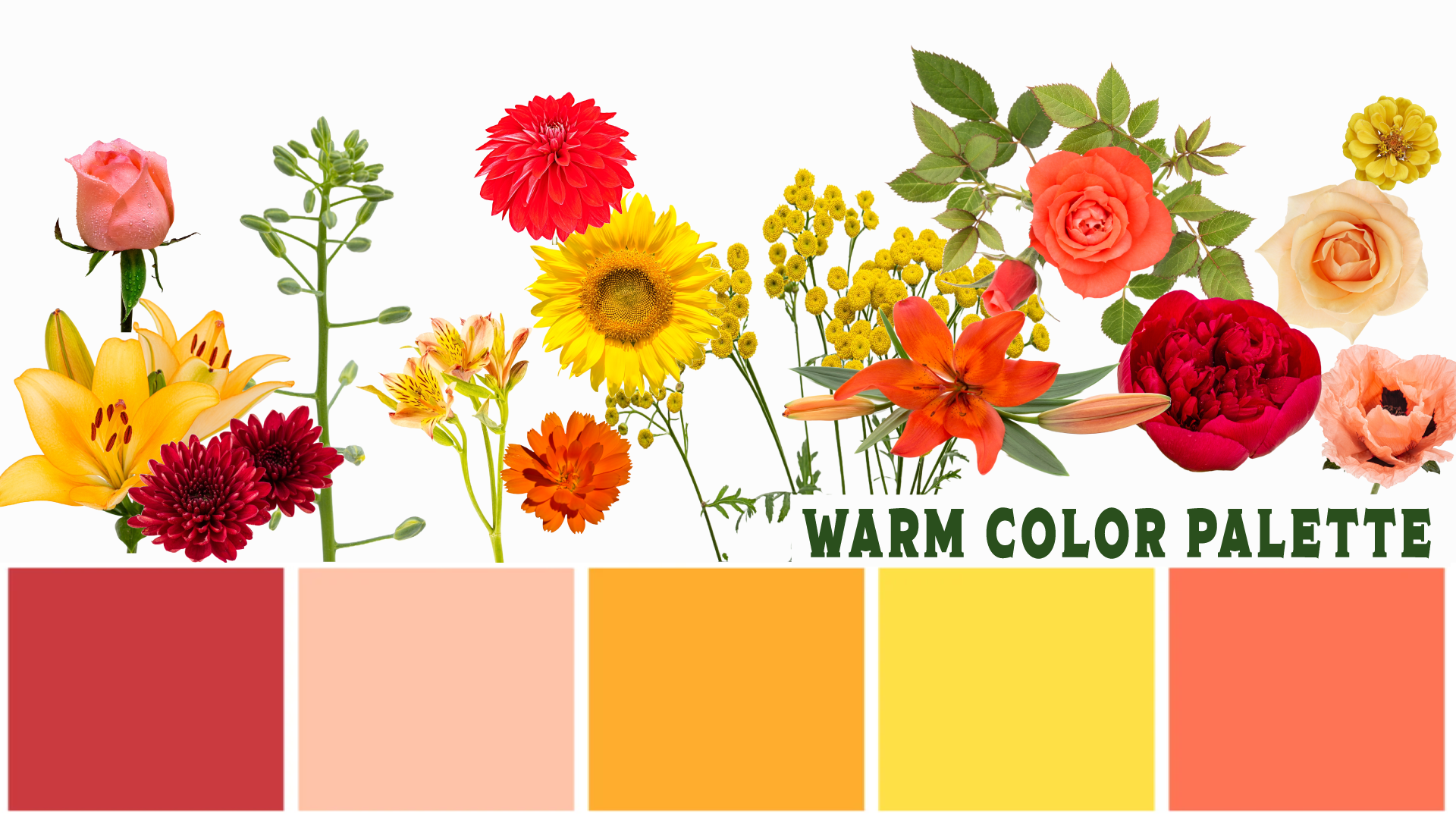A warm color palette highlights many flower types.
