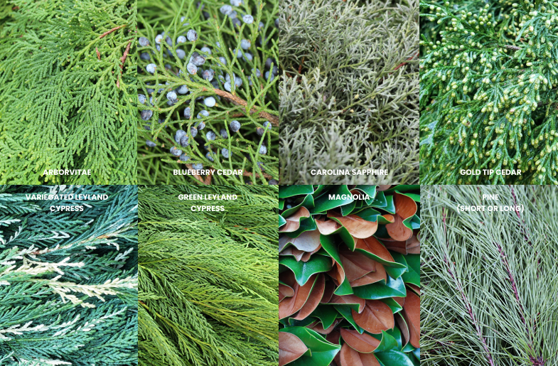 A collage of different types of holiday evergreens for decorating.