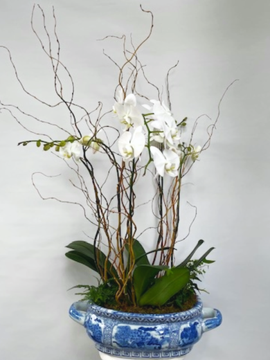 An indoor planter with white phalaenopsis orchids and foliage plants customized for a client's sideboard.