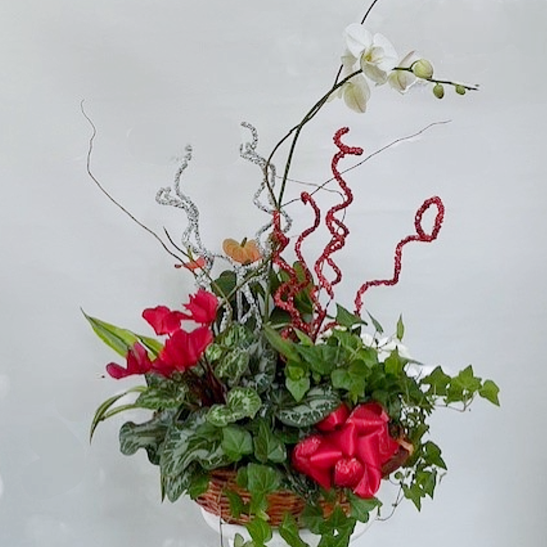 Floral arrangement in a wicker basket with red flowers, green ivy, and white orchids; with decorative red and silver curls.