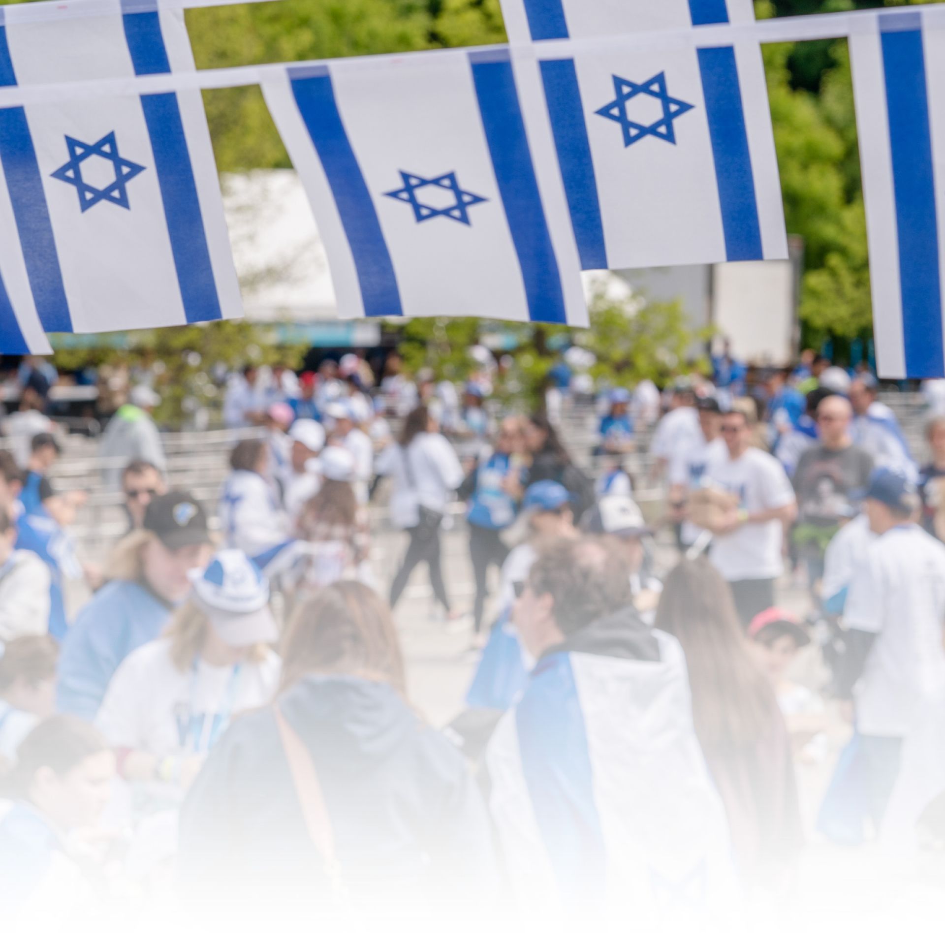Israel flags at the festival