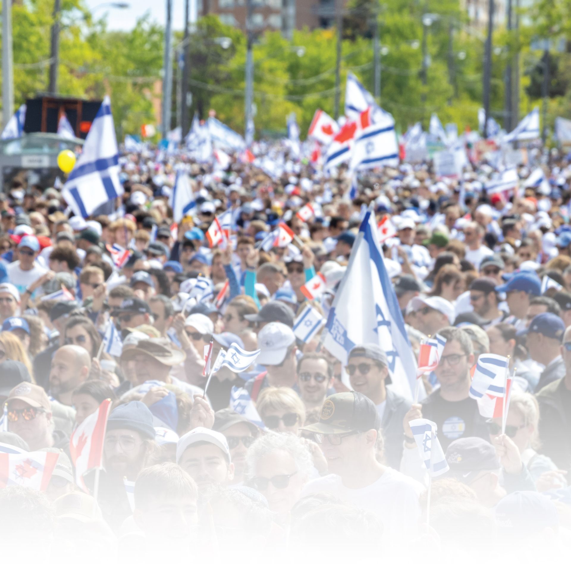 Walk participants walking