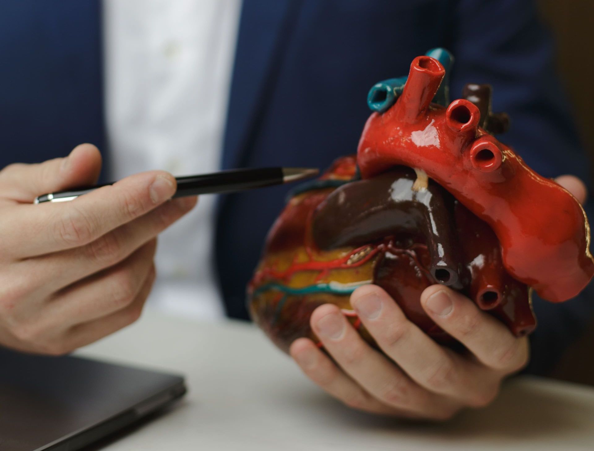 Um homem está segurando um modelo de coração humano e apontando para ele com uma caneta.