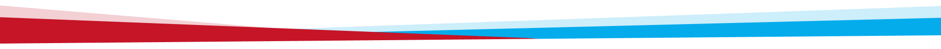 Red and blue gradient bar on a white background.