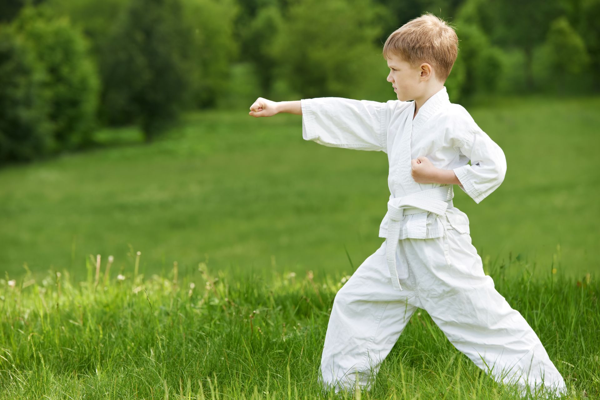 Enjoy an Action-Packed Summer with Martial Arts