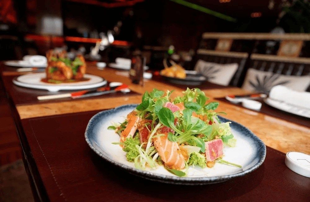 A Salad with Greens and Salmon on A Plate at A Restaurant Table — Kowin Restaurant in Taree, NSW