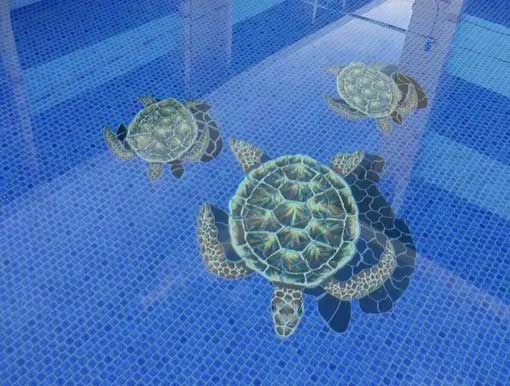 Pool with turtles design — Kailua, HI — Jack's Tile & Stone Inc