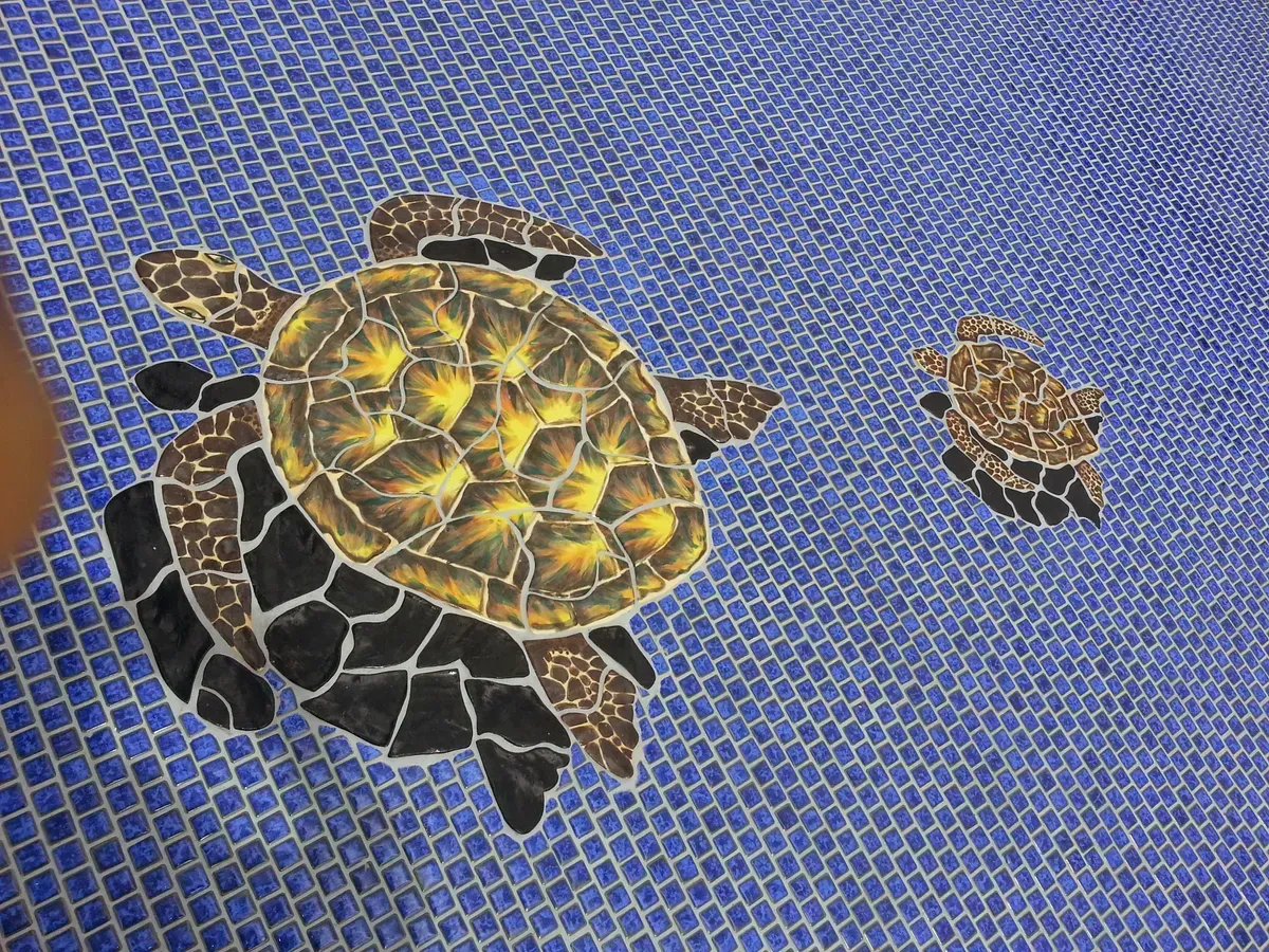 Pool with turtles design — Kailua, HI — Jack's Tile & Stone Inc