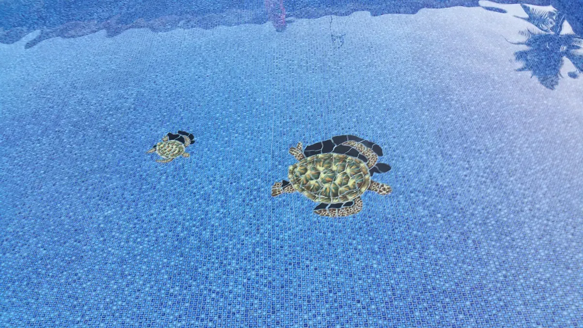 Pool with turtles design — Kailua, HI — Jack's Tile & Stone Inc