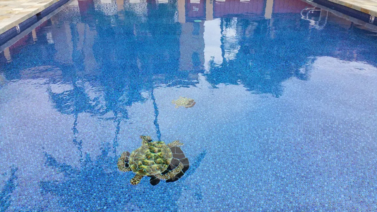 Pool with turtles design — Kailua, HI — Jack's Tile & Stone Inc