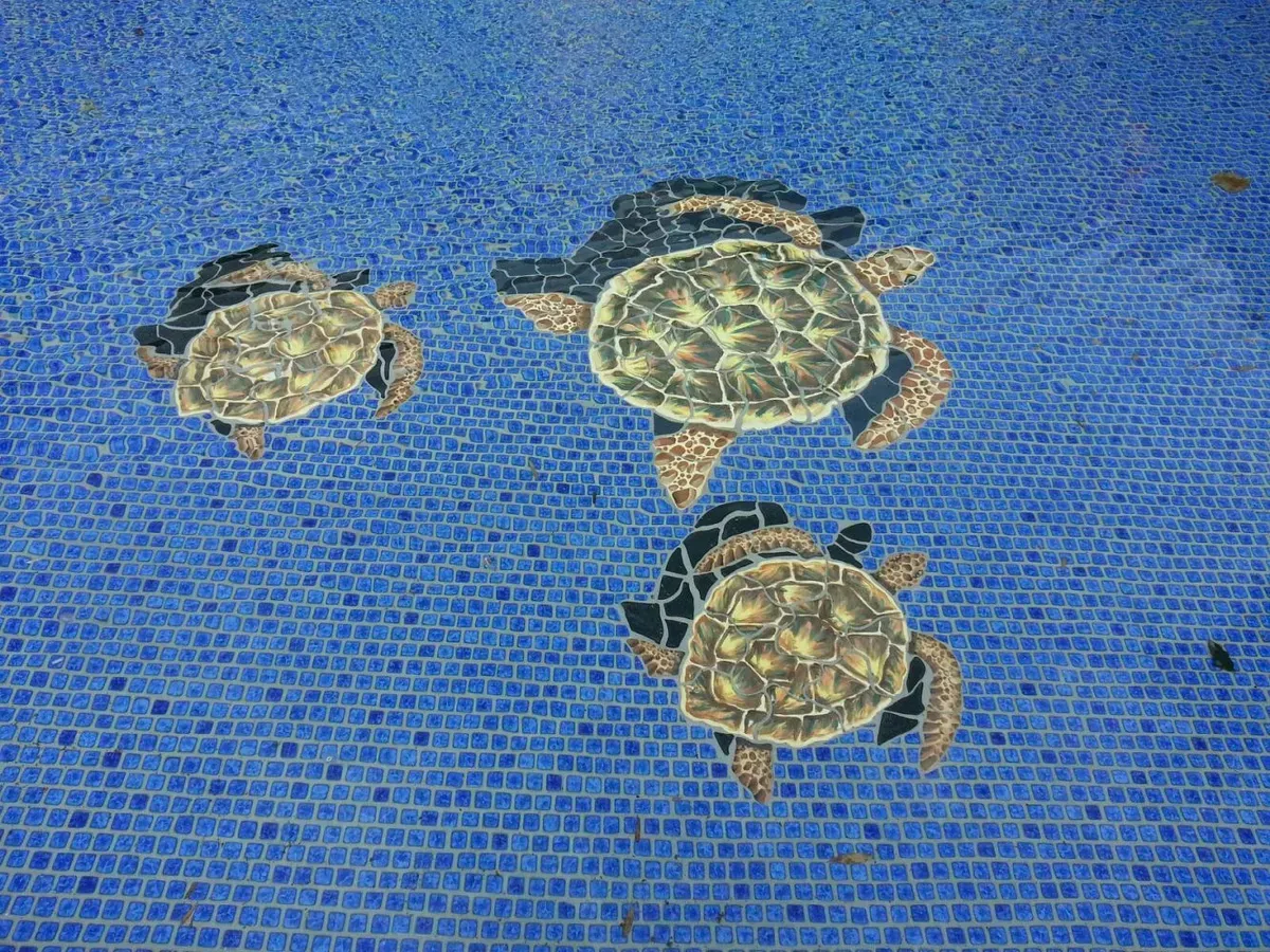 Pool with turtles design — Kailua, HI — Jack's Tile & Stone Inc