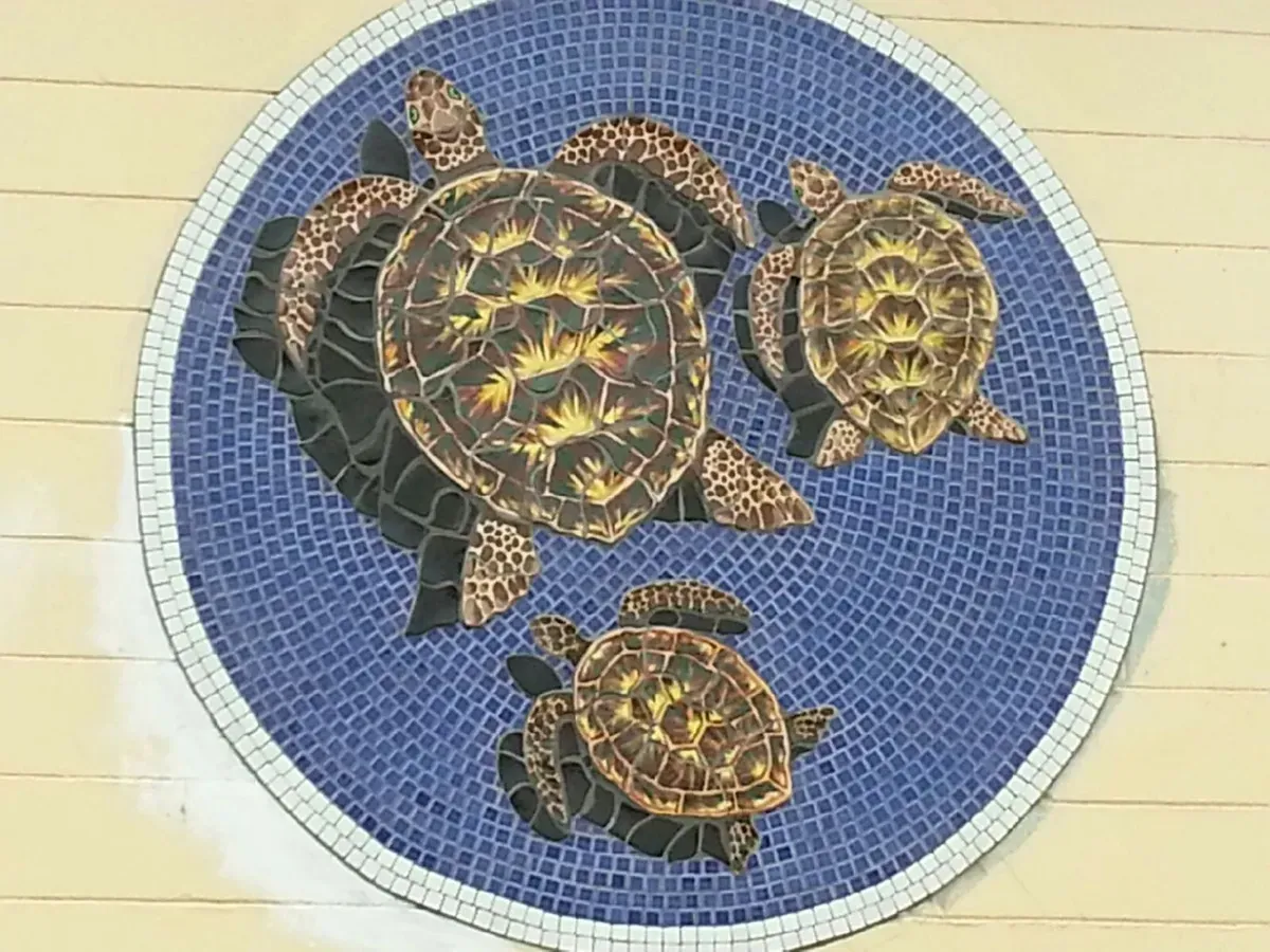 Pool with turtles design — Kailua, HI — Jack's Tile & Stone Inc