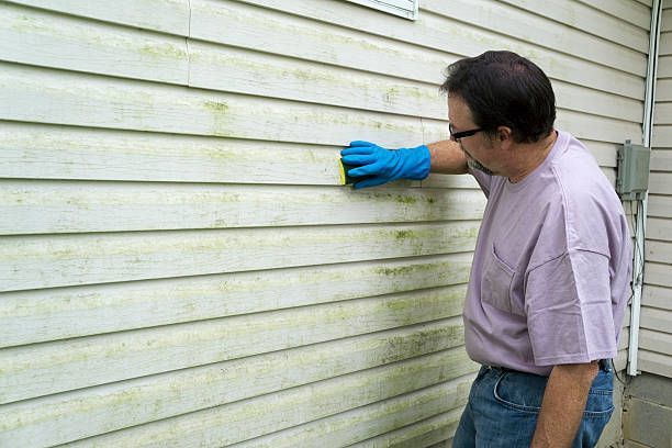 Man Scrubbing Siding – Highland, IL – We Wash Dirty Houses